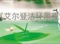 《艾尔登法环黑夜君临》高默契组合推荐