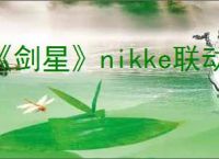 《剑星》nikke联动12号之后购买有cdk吗