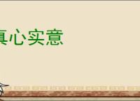 真心实意