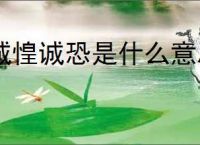 诚惶诚恐是什么意思