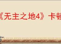 《无主之地4》卡顿解决办法