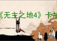 《无主之地4》卡加载解决办法