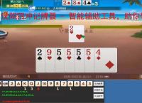 沈阳四冲记牌器 - 智能辅助工具,助你轻松赢牌
