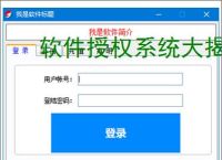 软件授权系统大揭秘:哪个才是你的最佳选择?