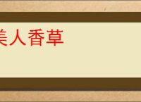 美人香草
