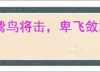 鸷鸟将击,卑飞敛翼