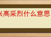 兴高采烈什么意思