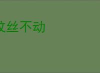 纹丝不动