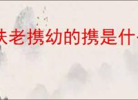 扶老携幼的携是什么意思