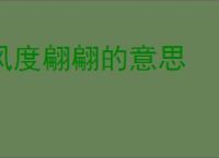 风度翩翩的意思