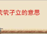 茕茕孑立的意思