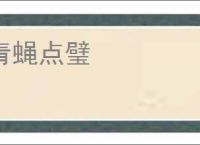 青蝇点璧