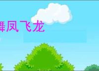 舞凤飞龙