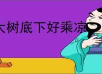 大树底下好乘凉