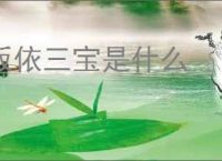 皈依三宝是什么