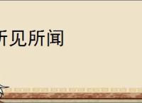 所见所闻