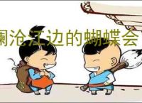 澜沧江边的蝴蝶会