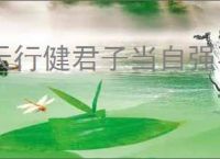 天行健君子当自强不息