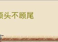 顾头不顾尾