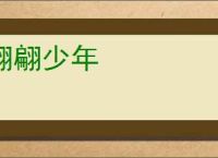 翩翩少年