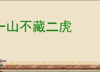 一山不藏二虎