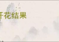 开花结果
