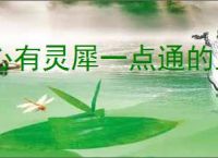 心有灵犀一点通的上一句