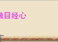 触目经心