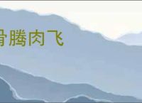 骨腾肉飞