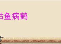 枯鱼病鹤