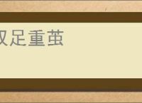 双足重茧