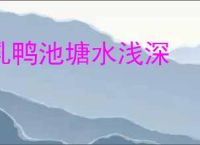 乳鸭池塘水浅深