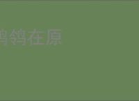 鹡鸰在原