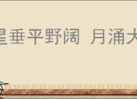 星垂平野阔 月涌大江流