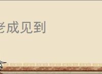 老成见到