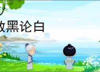 数黑论白