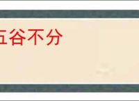 五谷不分