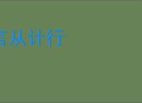 言从计行