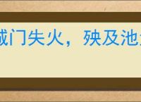 城门失火,殃及池鱼