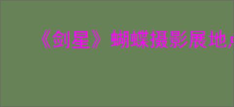 《剑星》蝴蝶摄影展地点位置攻略