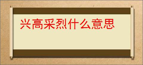 兴高采烈什么意思