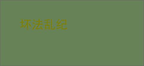 坏法乱纪