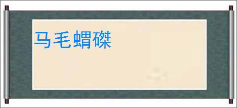 马毛蝟磔
