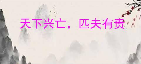 天下兴亡，匹夫有责