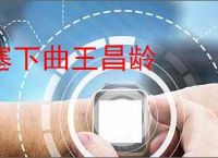 塞下曲王昌龄