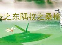失之东隅收之桑榆是指什么意思