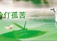伶仃孤苦