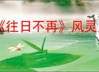 《往日不再》风灵月影修改器使用方法