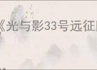 《光与影33号远征队》黑屏解决方法