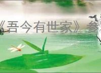 《吾今有世家》参军方式